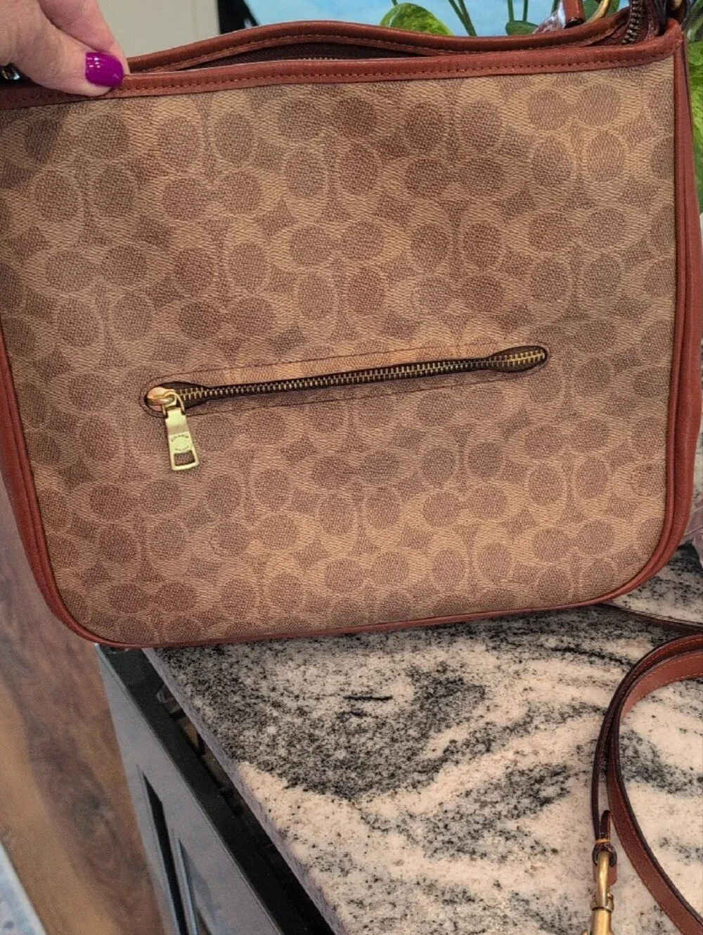 Coach Cary Signature Canvas And Leather Hobo Bag